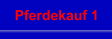 Pferdekauf 1