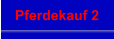 Pferdekauf 2