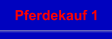 Pferdekauf 1