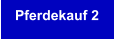 Pferdekauf 2
