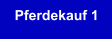 Pferdekauf 1