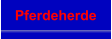 Pferdeherde
