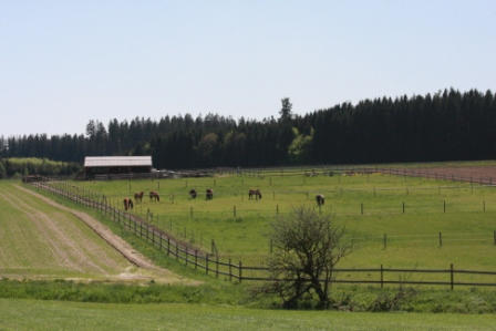 Unser Stall 2008 mit Koppeln